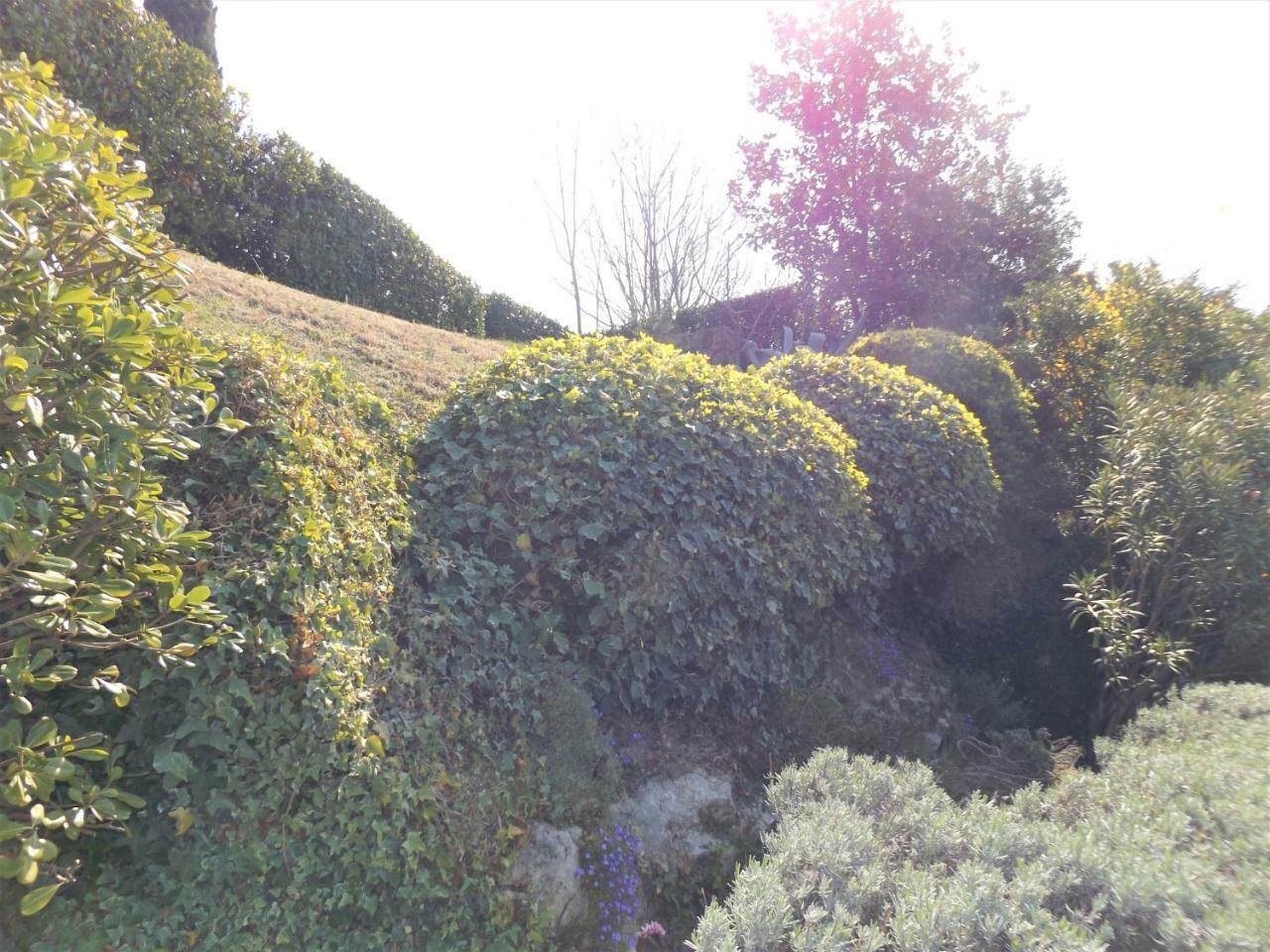 Villetta Griselle Torri Del Benaco Exterior foto